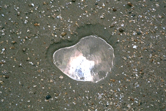 20a Heart work’ Photo 1999. North Sea beach