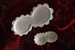 brooches lace imprint silver.jpg